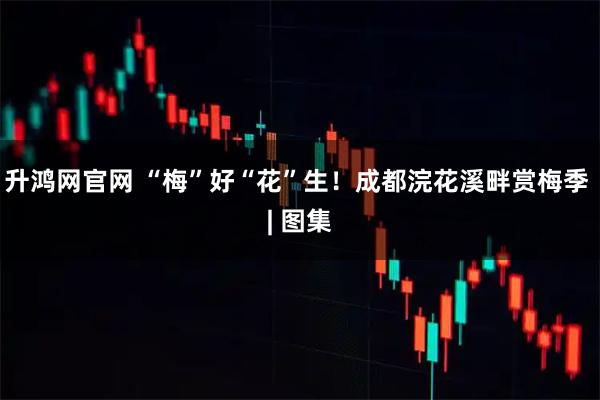 升鸿网官网 “梅”好“花”生！成都浣花溪畔赏梅季 | 图集