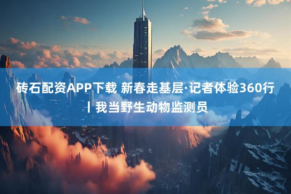 砖石配资APP下载 新春走基层·记者体验360行丨我当野生动物监测员