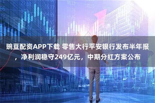 豌豆配资APP下载 零售大行平安银行发布半年报，净利润稳守249亿元，中期分红方案公布